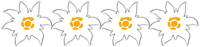 4_Edelweiss